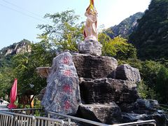 -大岭沟猕猴桃谷风景区