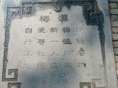 -莘庄公园