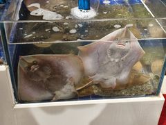 -滨海小渔村·海肠捞饭·鲅鱼水饺·特色老火鱼丸汤(华田店)
