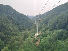 -栾川竹海野生动物园