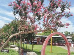 -武汉紫薇都市田园