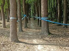 -嘉北郊野公园