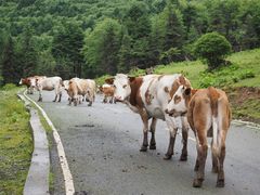 -硗碛藏寨·神木垒景区