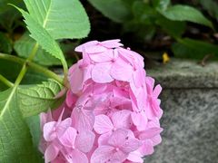-大妙火锅·非物质文化遗产(东湖公园店)