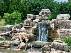 -上海野生动物园