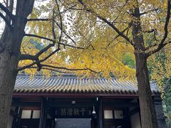 -成都武侯祠博物馆