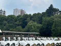 -井之头恩赐公园