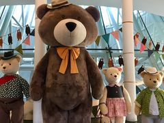 -济州岛泰迪熊博物馆