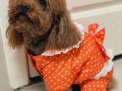 -百信宠物医院(东升街店)