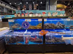 水产区-盒马鲜生(皇庭广场店)