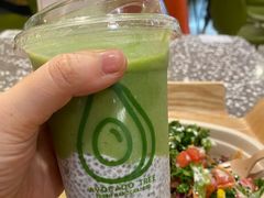 -油梨树AVOCADO TREE(嘉里中心店)