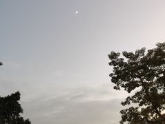 -长洲渡车船码头