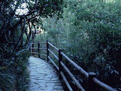 -马峦山郊野公园