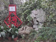-汇龙潭