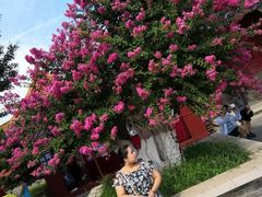 -威海华夏城景区