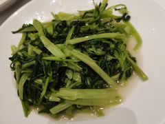 -圆苑(静安寺店)