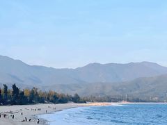 -西涌国际滨海旅游区