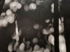 -回坊马二饺子馆