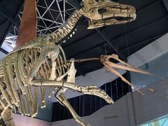 -湖南省地质博物馆