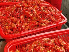 -阿胖龙虾(罍街店)
