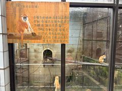 -昆明动物园