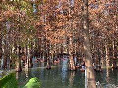 -星湖旅游景区七星岩