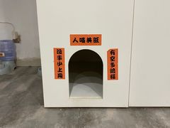 -楼上猫咖(罗湖店)