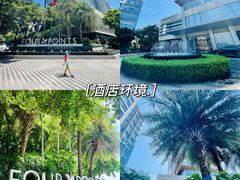 -广州天河合景福朋喜来登酒店