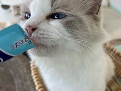 -怪兽屋·羊驼·猫咖·狗咖(俊华广场店)
