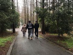 -崇明东平国家森林公园烧烤房车露营地