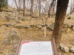 -阳台山自然风景区