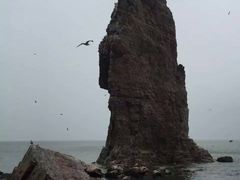 -海驴岛(荣成市)