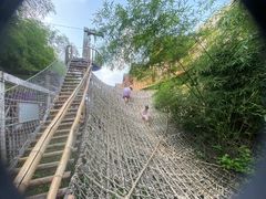 -呀路古热带植物园