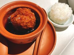 张氏狮子头-羲和雅苑•北京烤鸭(陆家嘴中心店)