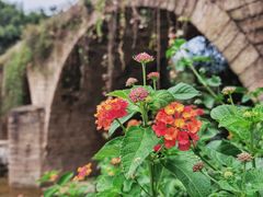 -溪口-滕头旅游景区