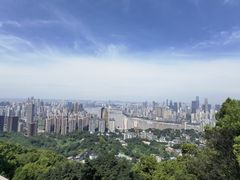 -南山植物园