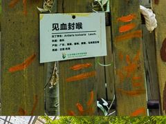 -呀路古热带植物园