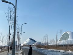 -哈尔滨大剧院