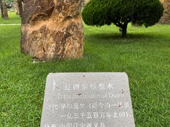 -石家庄市植物园