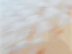 -贵宾楼大酒店(汇邻广场店)