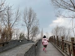 -溱湖国家湿地公园