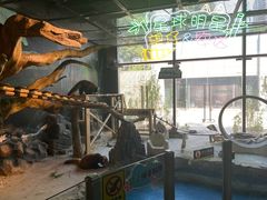 -绿色星球动物主题公园