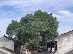 -锦溪古镇