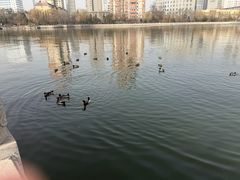 -迎泽公园