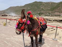 -陕西黄河壶口瀑布旅游区
