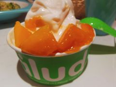 -Salud撒露欧洲冻酸奶(五道口购物中心店)
