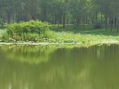 -东郊湿地公园