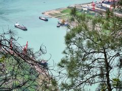 -铁山坪森林公园