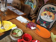 -more than meow吴止猫主题餐厅(承德 中船汇店)