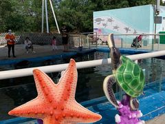 -北戴河圣蓝海洋公园